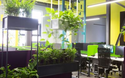 Zastosowanie roślin w biurach: Jak poprawić produktywność i samopoczucie pracowników