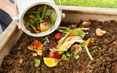 Kompostowanie w ogrodzie: proste sposoby na recykling odpadów organicznych